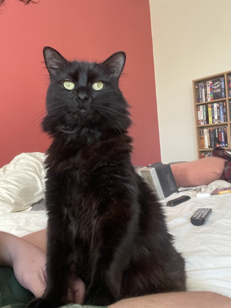 Binx
