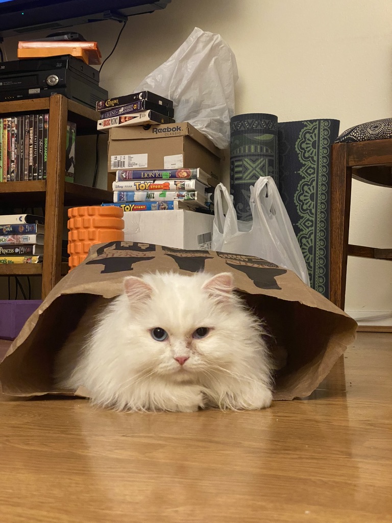 Casper